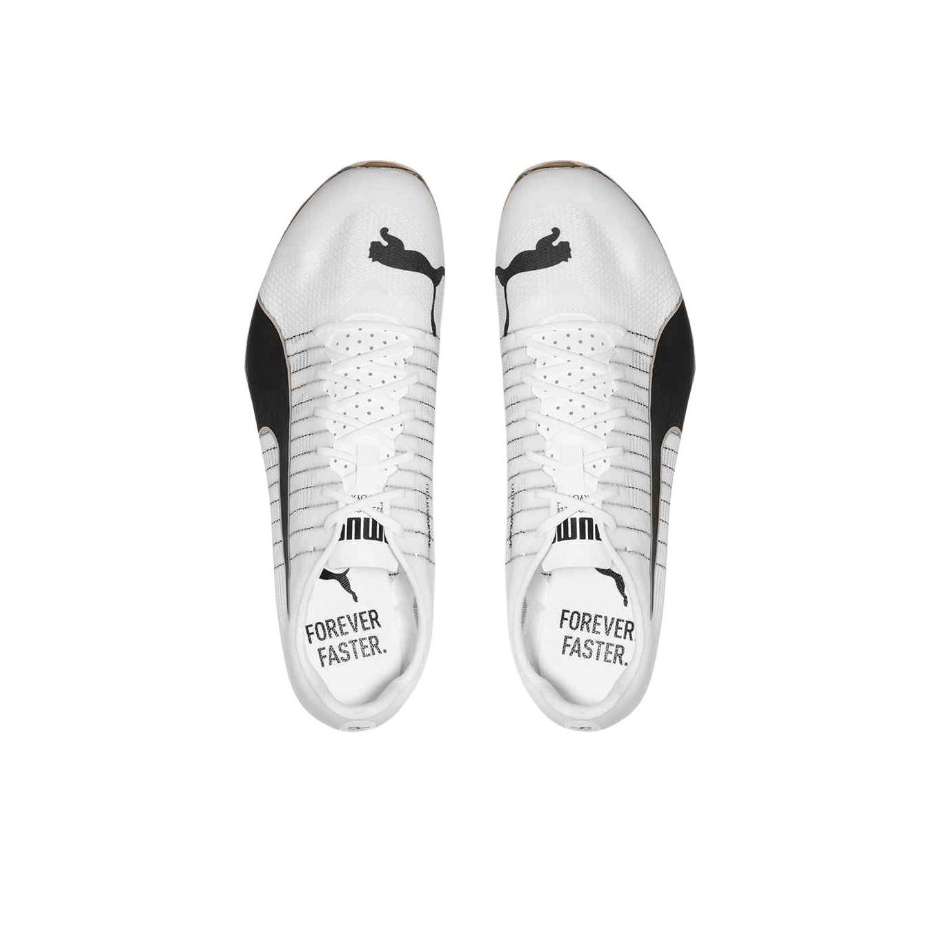 حذاء بوما إيفو سبيد 400 نيترو  - مراجعة Men Shoes Puma وسعره